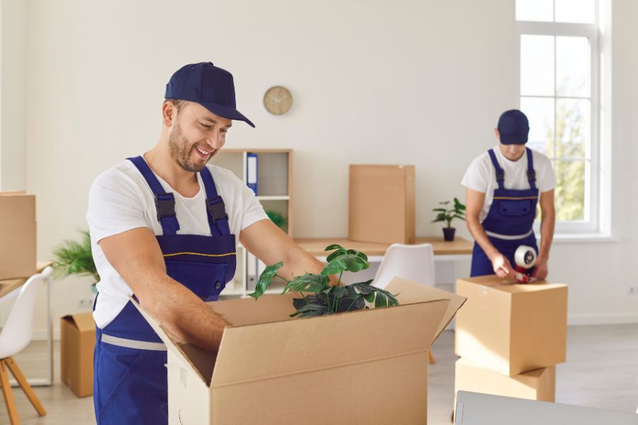 Servicios de embalaje para mudanzas Valencia